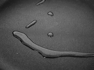 fry a pan with vegetable oil