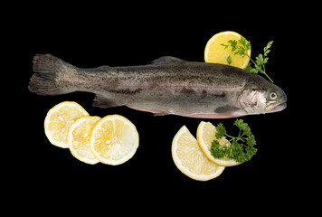 fish lemon isolated on black background​ with clipping path​