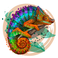 Chameleon. A graphic, multi-colored portrait of a lizard on a white background in a watercolor style. Digital vector graphics. Individual layers