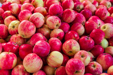 Heap of ripe red apples.
