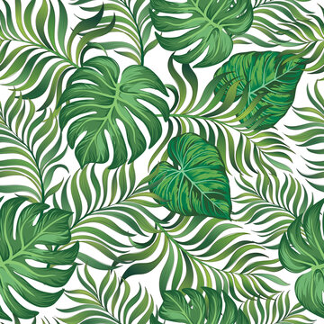 Tropical vector pattern with jungle leaves. Trendy summer print. Exotic seamless background. © Logunova Elena