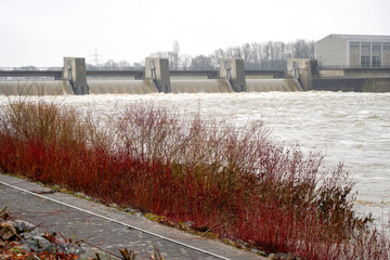Danube river and its old waters are photographed in Bavaria near Regensburg