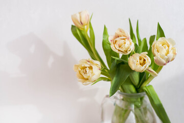 Bouquet of beautiful tulips. Copy space. International Women's Day celebration. White wall background. Scandinavian interior.