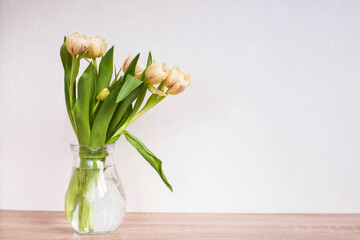 Bouquet of beautiful tulips. Copy space. International Women's Day celebration. White wall background. Scandinavian interior.