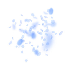 Dark blue flower petals falling down. Appealing ro