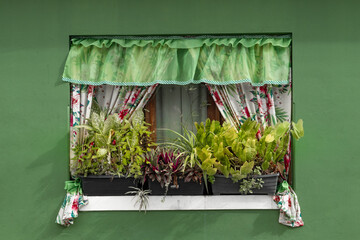 Janela verde com jardim e plantas.