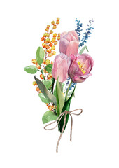 Tulip flowers with branches of mimosa and eucalyptus in a spring bouquet. Watercolor hand-drawn on a white background for the design of cards, wedding invitations, packaging, print, textiles.