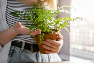 Garden,gardening home. Girl replanting green pasture in home garden.agriculture,indoor garden,room with plants banner Potted green plants at home, home jungle,Garden room gardening, Plant room,