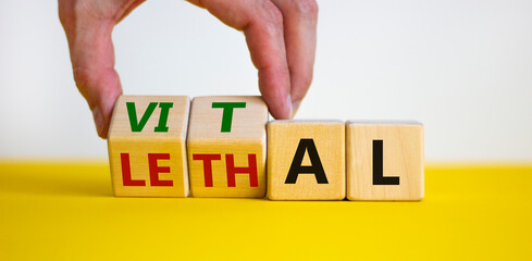 Vital vs lethal symbol. Businessman turns wooden cubes and changes the word 'lethal' to 'vital'. Beautiful yellow table, white background, copy space. Business and vital vs lethal concept.