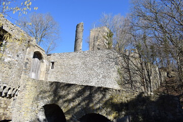 Ruine der Burg Olbrück