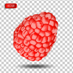 Appetizing fresh raspberries isolated on a transparent background. Realistic vector illustration