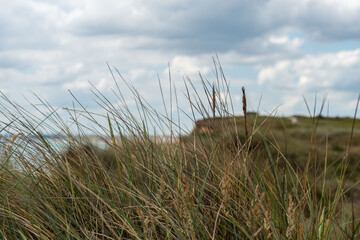 Fototapeta premium seaside