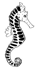 Seahorse black and white