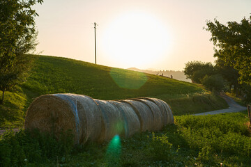 Obraz premium Hay bales in Italian village. Rural landscape.