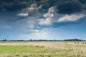 Obraz premium Stormy sky in a rural environment
