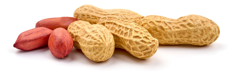 Useful peanut, isolated on white background. High resolution image