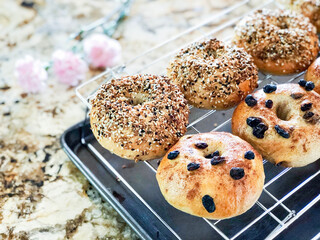 Homemade Everything Bagels and Cinnamon Raisin Bagels on Cooling Rack.