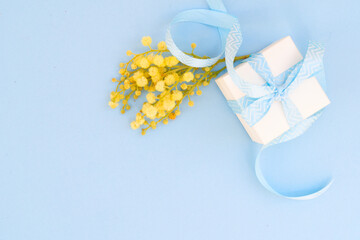 Mimosa flowers on blue background