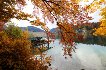 Boatshouse on sea in autumn