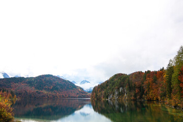 Landscape with sea and forrest