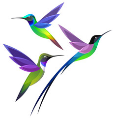 Stylized Hummingbirds in flight	
