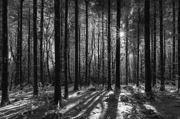 Fototapeta premium Bílé Karpaty v zimě, winter, forester, mounts