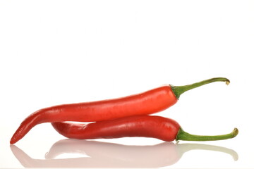 Two red juicy, hot peppers, close-up, isolated on white.