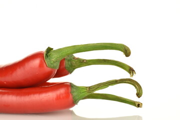 Several red juicy, hot peppers, close-up, isolated on white.
