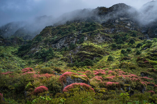 TAWANG - BOMDILA 