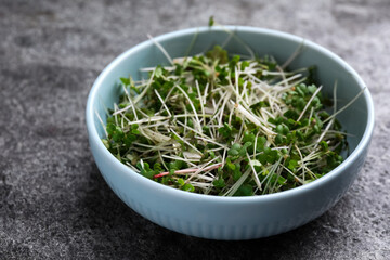 Bowl with fresh microgreen on grey table, closeup
