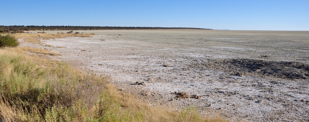 Die Naturlandschaft und Vegetation am Rande der Salzpfanne des Etosha Nationalparks. Nature landscape and vegetation at the Etosha salt pans.