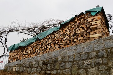 stacked and covered firewood in the yard
