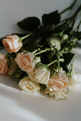 wedding rings and roses