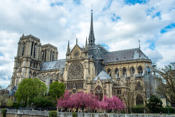 Obraz premium notre dame cathedral