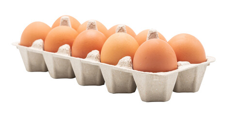 Eggs in egg carton side view isolated