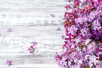 Obraz premium Purple lilac Spring branches of blooming lilac festive bouquet of flowers with copy space. Purple lilac branch on table, floral still life on gray wooden background.