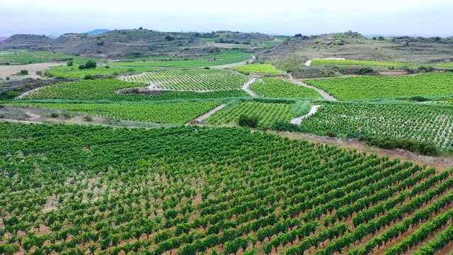 Landscape of vineyards and forest in the Sierra de Cantabria from a drone. Leza. Alava Province. Autonomous Community of the Basque Country. Spain. Europe