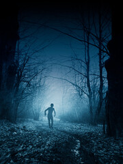 scary silhouette in dark forest, horror landscape