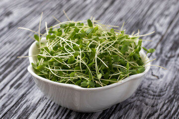 Flax microgreens in a white bowl on black wooden background.