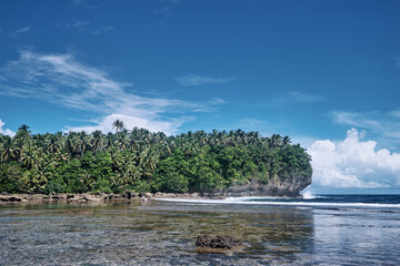 Rock natural pool lagoon. Coconut palm tree beach.