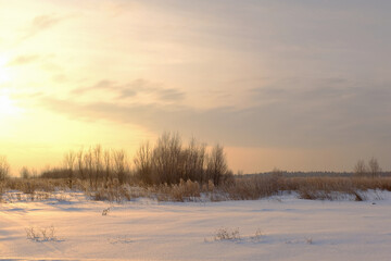 Fototapeta na wymiar Scenic view of a snow-covered field with shrubs and dry grass during sunrise. Frosty morning. High quality photo.