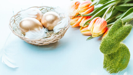 Basket easter decoration: Golden eggs in basket with spring tulips, white feathers on pastel blue background. Congratulatory easter design.