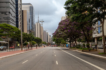 Fototapeta na wymiar Avenida Paulista, São Paulo.