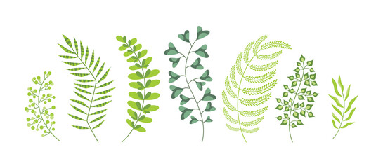 Set of cartoon stylized green leaves for symbols, logo, white background. Vector illustration for design.