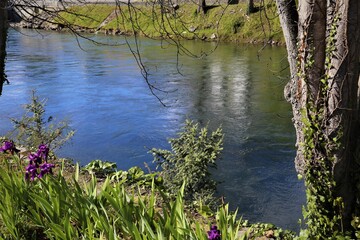 lac nature