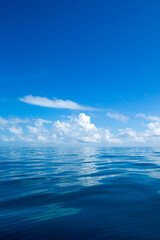 tropical sea under the blue sky. Sea landscape.