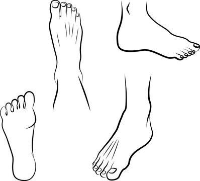 simple sketch of human feets