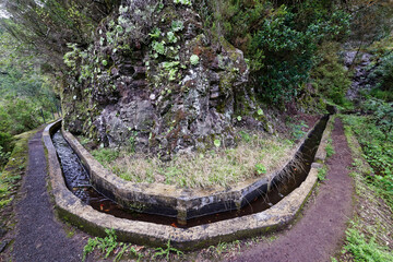 Portugal - Madeira - Levada do Castelejo