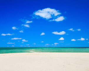 Fototapeta na wymiar Beautiful tropical Maldives island with beach.