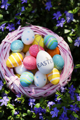 Easter .Pink wicker nest with easter decorative eggs in purple spring flowers.Easter eggs in a basket in the garden.Spring Religious Holiday Symbol. festive easter background